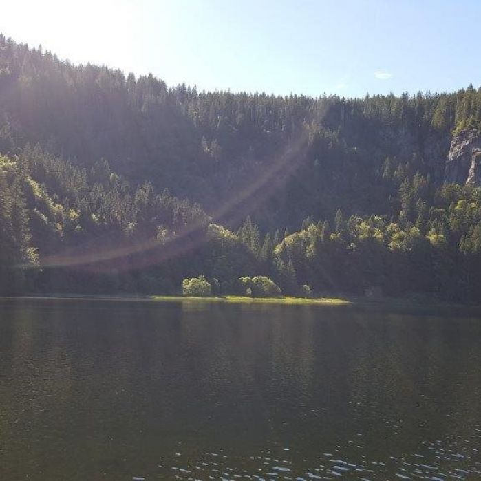 Camp 21716 SV Feldberg